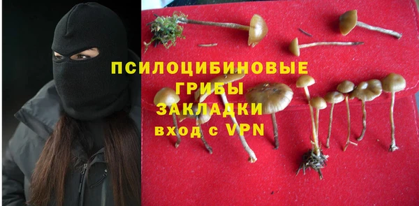 бутират Алексеевка